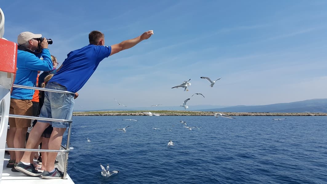 Gänsegeier und Fischzucht